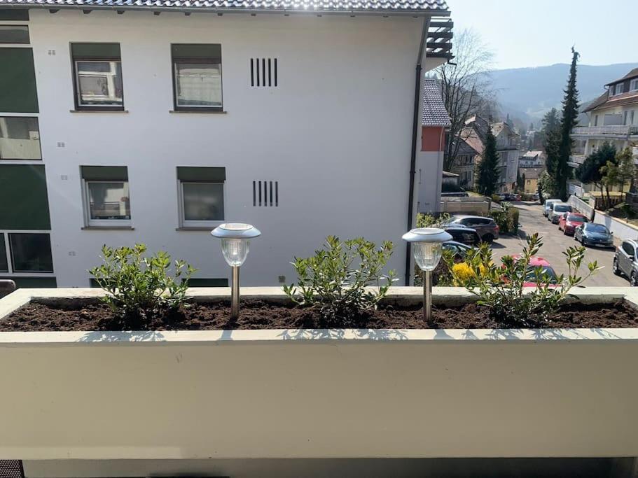 Moderne Ferienwohnung In Bester Lage! 바트헤른알브 외부 사진